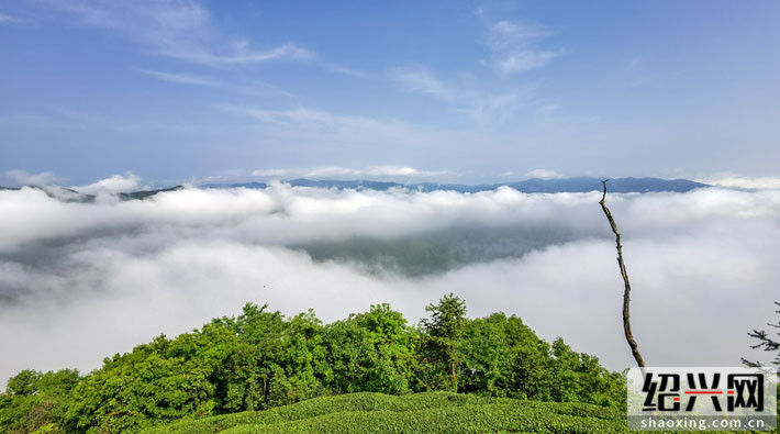 云中《武陵源,最慰山水情