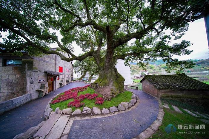 距县城21公里,毗邻仙居县湫山乡,乡域总面积32平方公里,下辖8个行政村