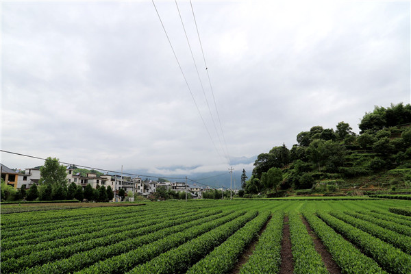 丽水市遂昌县大柘镇柘溪上村