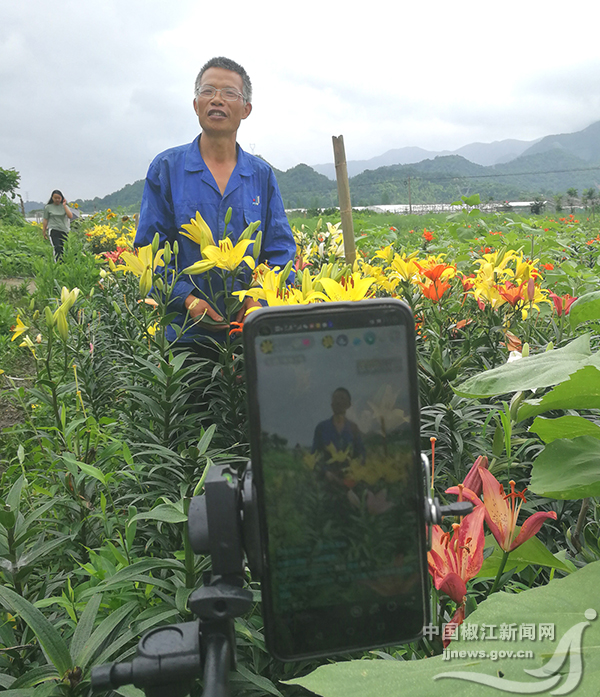 村台州药老大百合专业合作社网络直播室,"带货主播"何宗华正在"养号"
