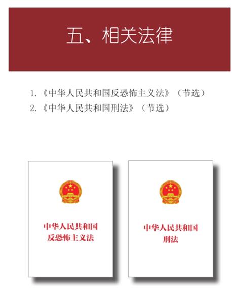1《中华人民共和国反恐怖主义法》(节选)