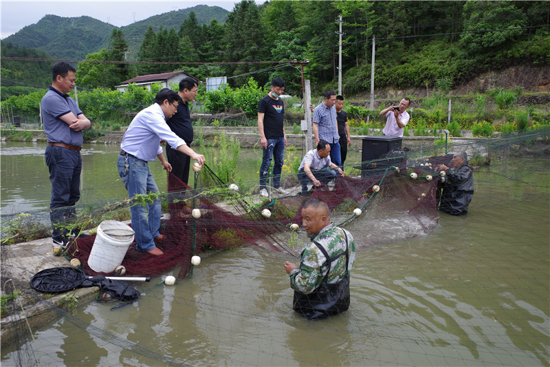 党总支书记彭永生耐心地为6名前来学习养殖马口鱼的村民讲解养殖知识
