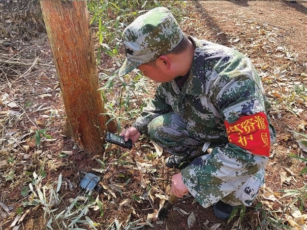 織密森林資源管護網我縣在全市率先推行四級林長制