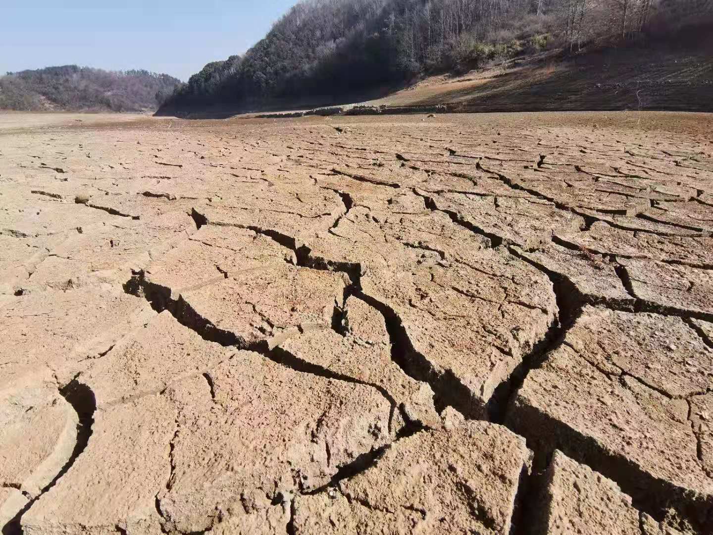 新昌:长诏水库缺水形势严峻,节水迫在眉睫-浙江网闻联播