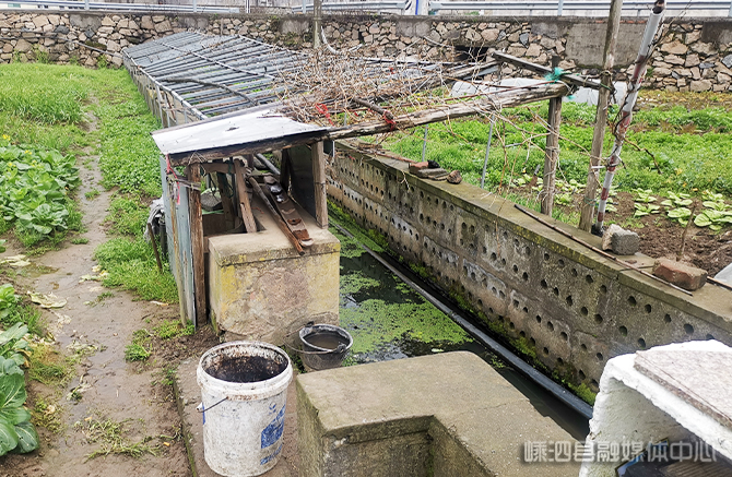 村高标准农田建设项目完成验收,但如今,田间地头仍然堆放了许多粪缸桶