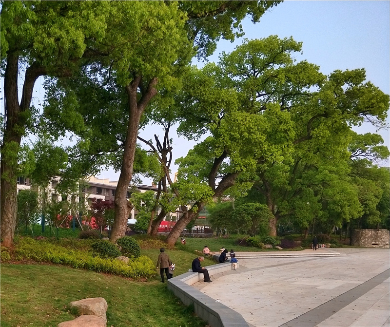 武义废弃滩林变生态绿道这个公园成为我县新网红打卡地