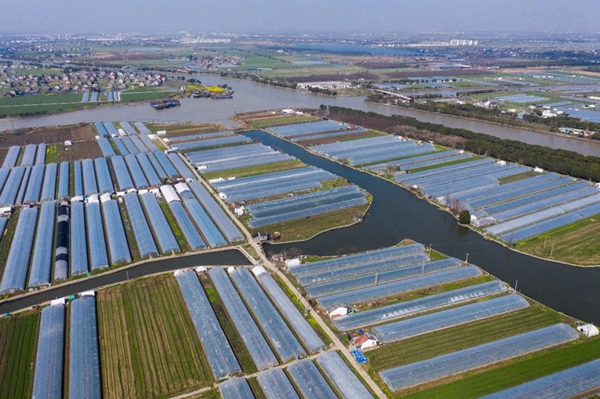 3月10日,空中俯瞰嘉善县姚庄镇现代农业小微产业园(无人机照片)