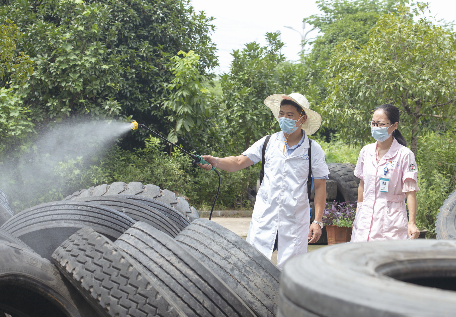 夏季灭虫忙