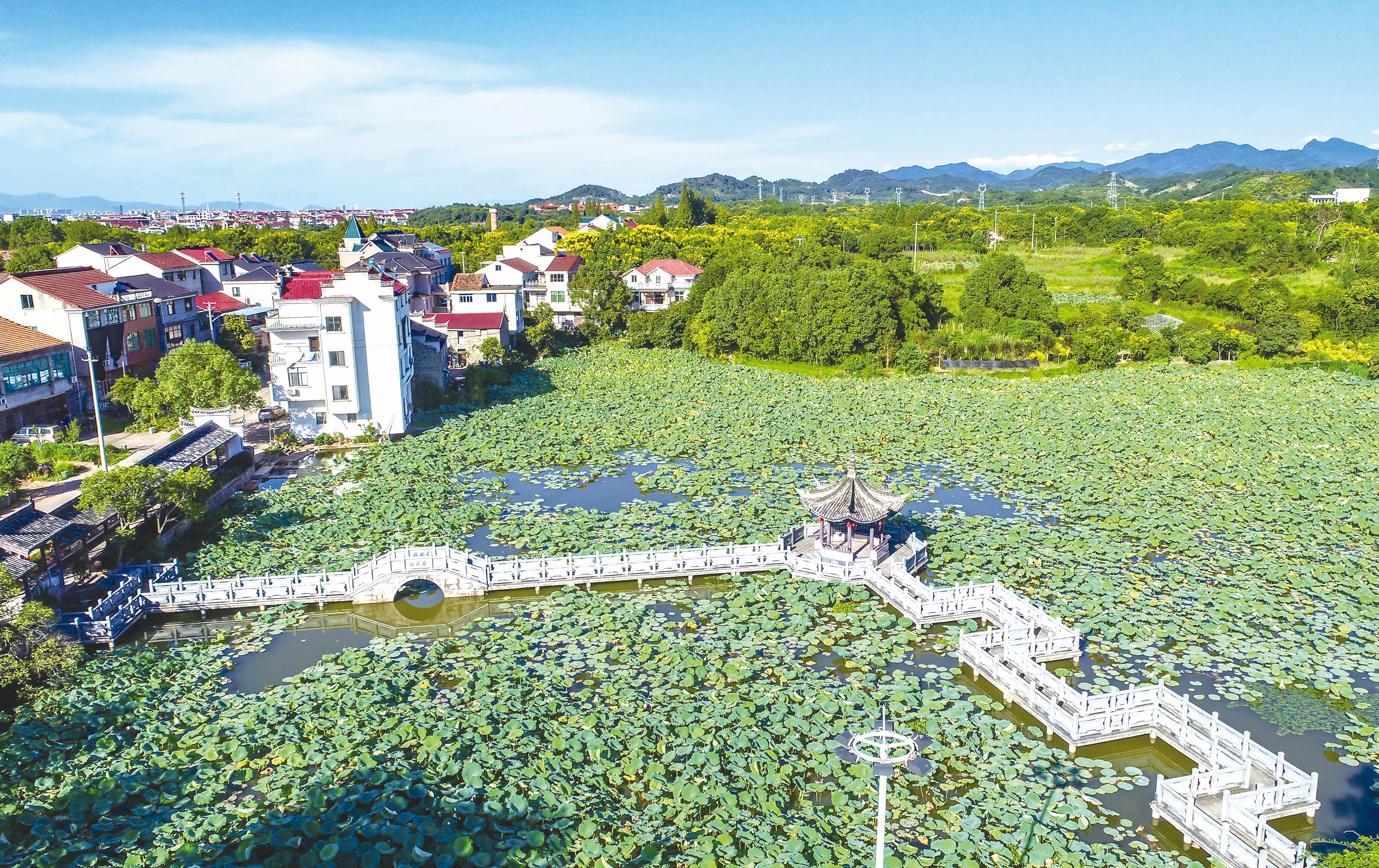 我们此次寻访的村子是澧浦镇蒲塘村,一路走,一路看,还遇到了几个手拿