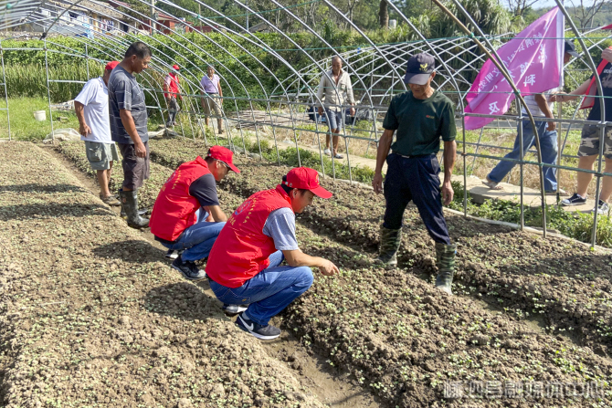 县科协联合县农业农村局开展科普进田间地头活动