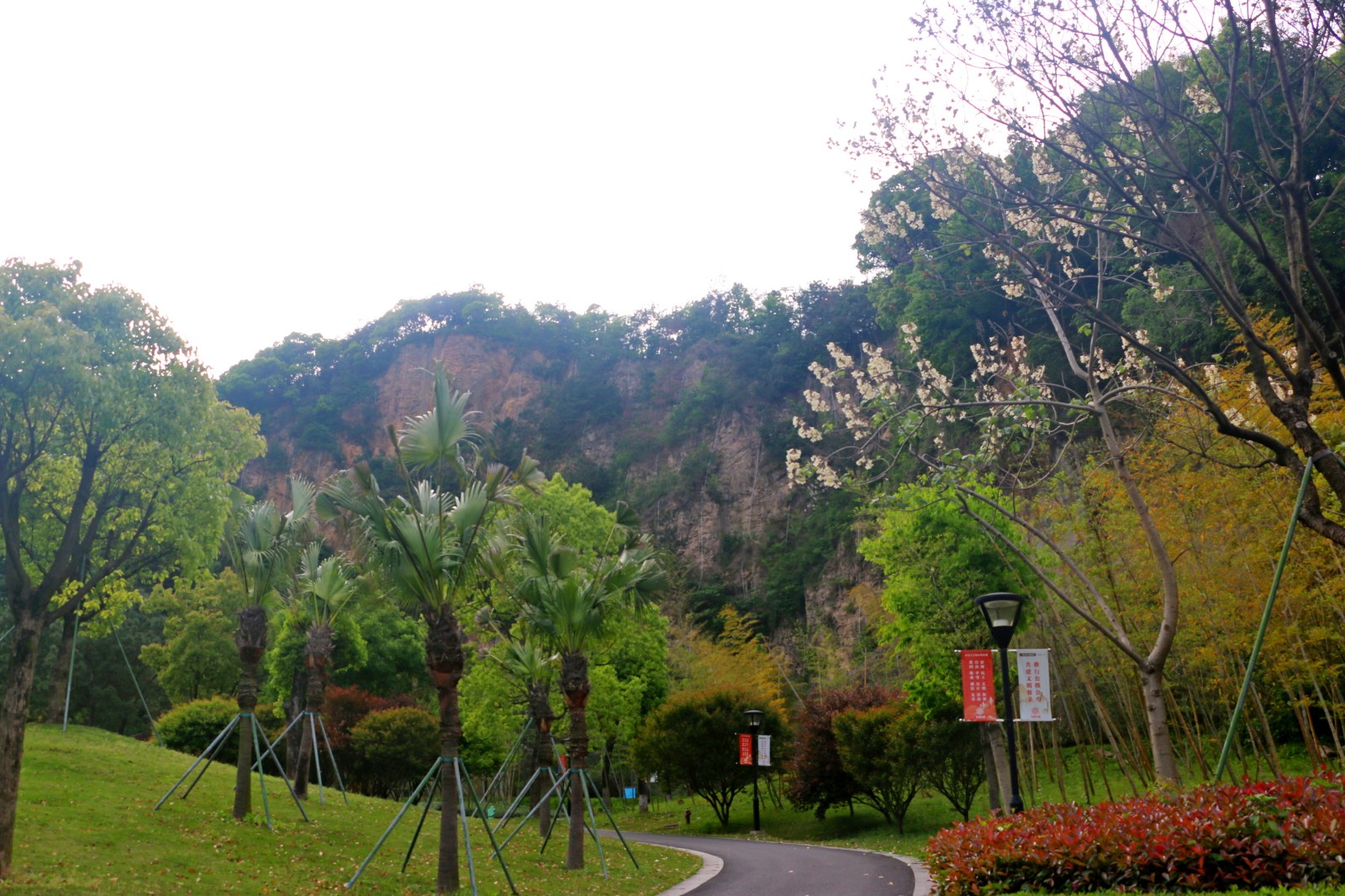 近期持续晴好天气,路桥街道石浜公园内一片生机勃勃,绿意盎然的景象