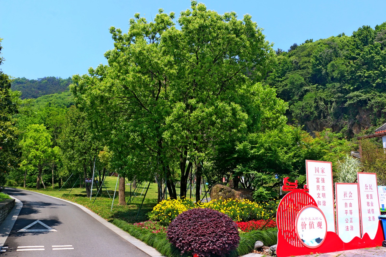 近期持续晴好天气,路桥街道石浜公园内一片生机勃勃,绿意盎然的景象
