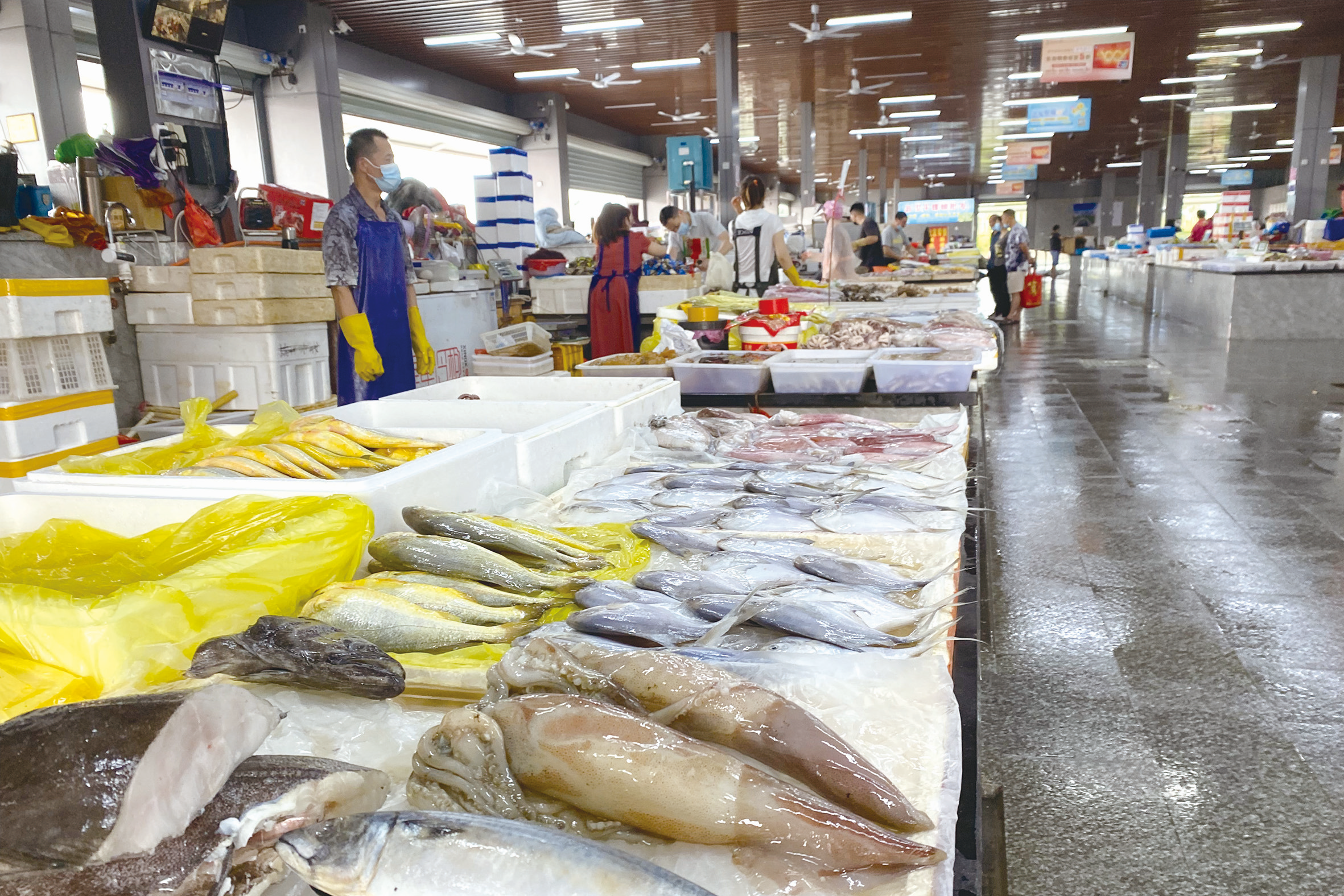 休渔期海鲜市场不缺货 水产品价格小幅上涨