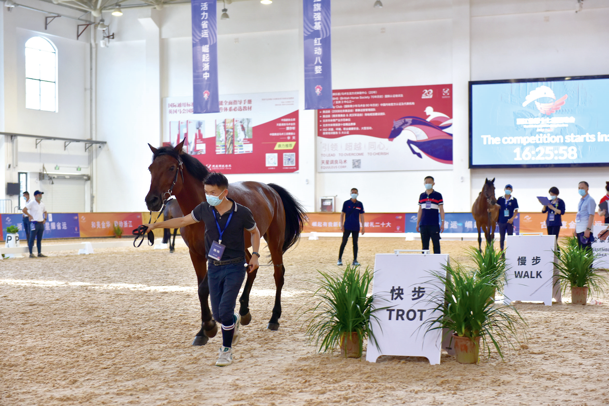 今天2021年浙江省青少年马术锦标赛正式开赛-金义新区新闻网