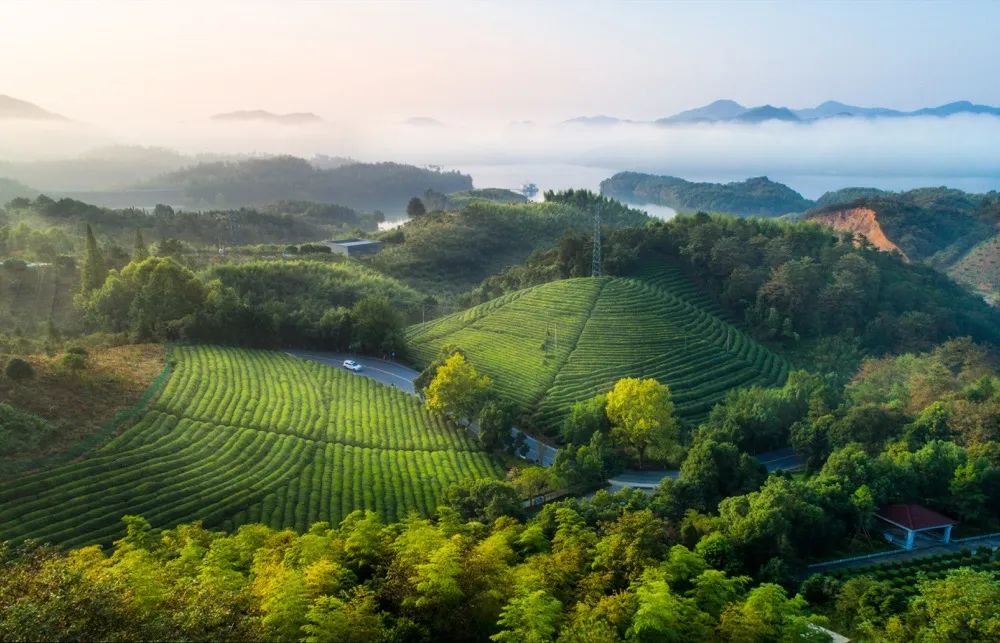 莫干山的魔力源于何处?-浙江文明网