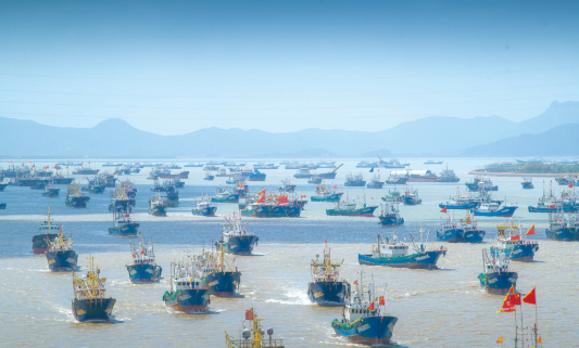 1977艘渔船昨出海作业