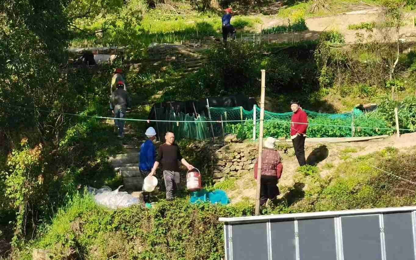 普陀区沈家门街道泗湾村文化礼堂组织开展城乡卫生整治志愿活动