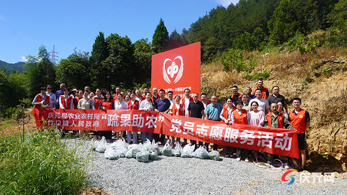 "疏果助农"党员志愿服务活动开展
