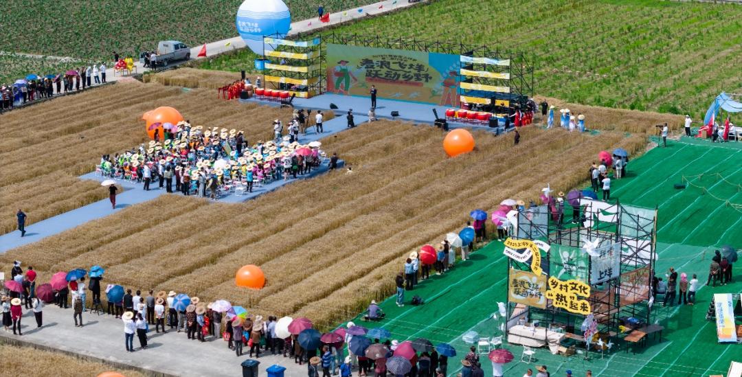 International Faces Light Up Shangyang Village Sports Meet: Huangyan's Triumph in Cultural Export