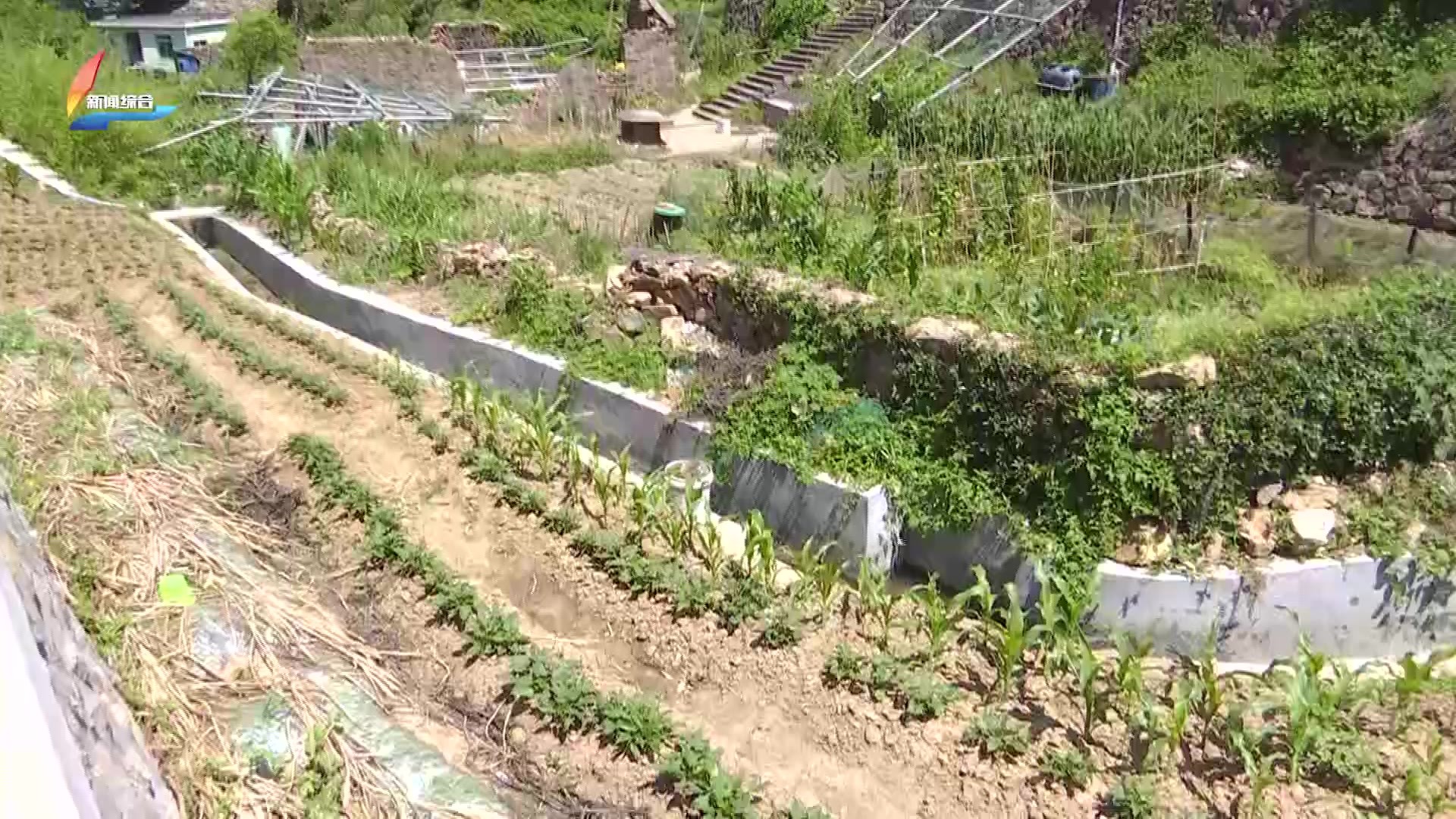【嵊融帮帮团】农田改造引补偿争议 已签约村民再提异议