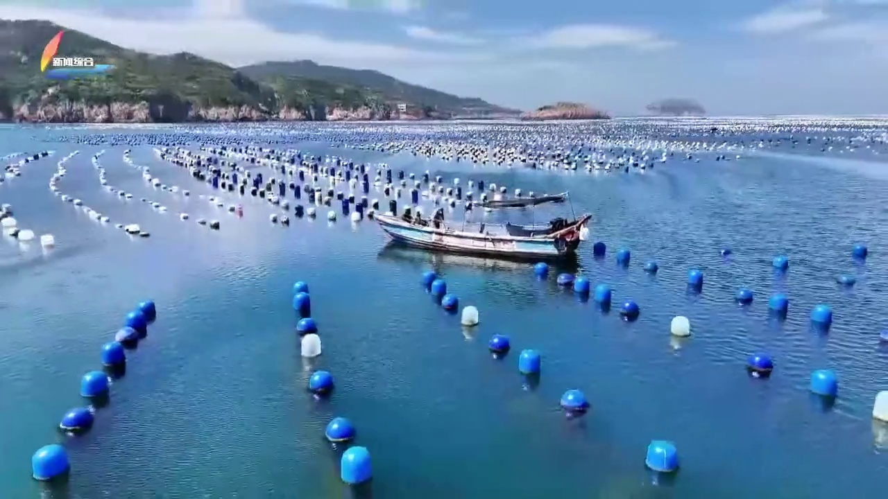 20250829