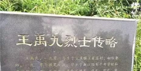 For the Nations Cause: A Spirit Soaring Through the HeavensIn Memory of Wang Yujiu from Huangyan