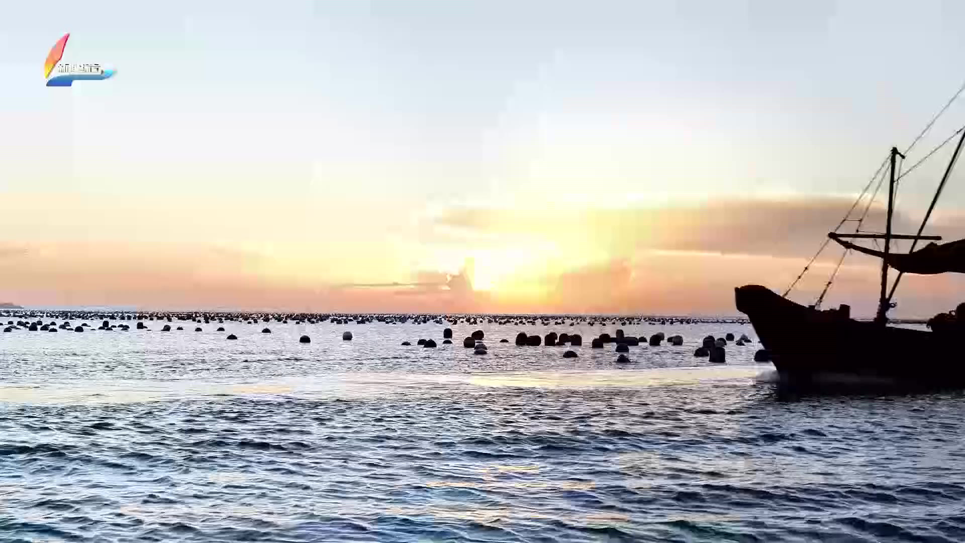 20250929