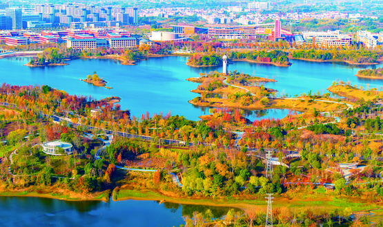 ���ǳȻ�����ʱ ������ɫ�ʰ��ʫ��Ũ