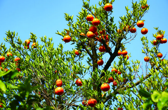 ������̬ �ܿ��ܳ��ܴ��յġ�����������