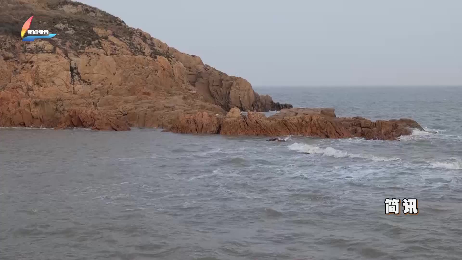 20251231��������