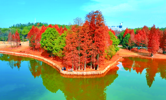 �������ϣ�ˮ��һɫ ����ɼӰ