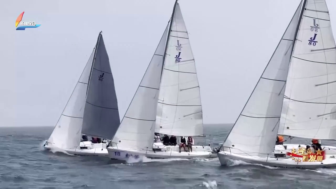 20260205��������