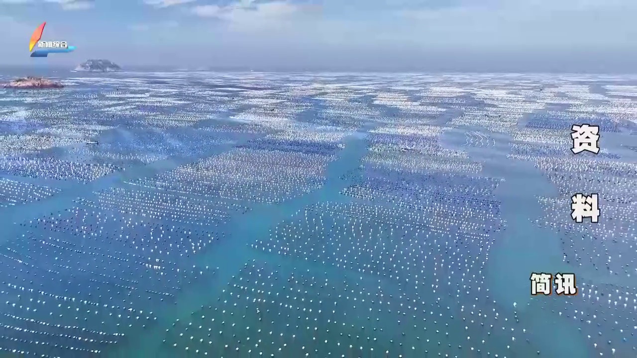 20260206��������