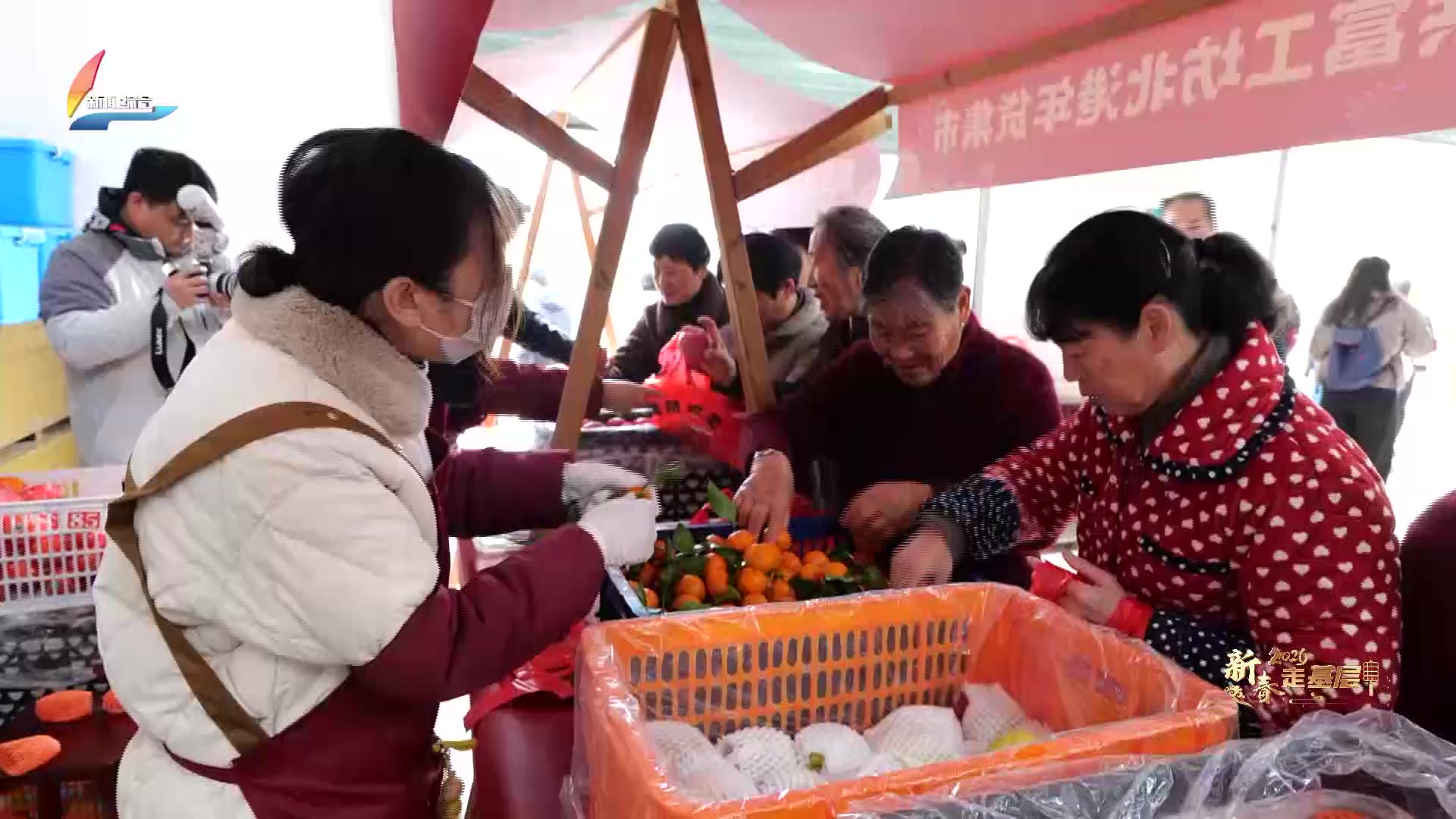 20260211��������