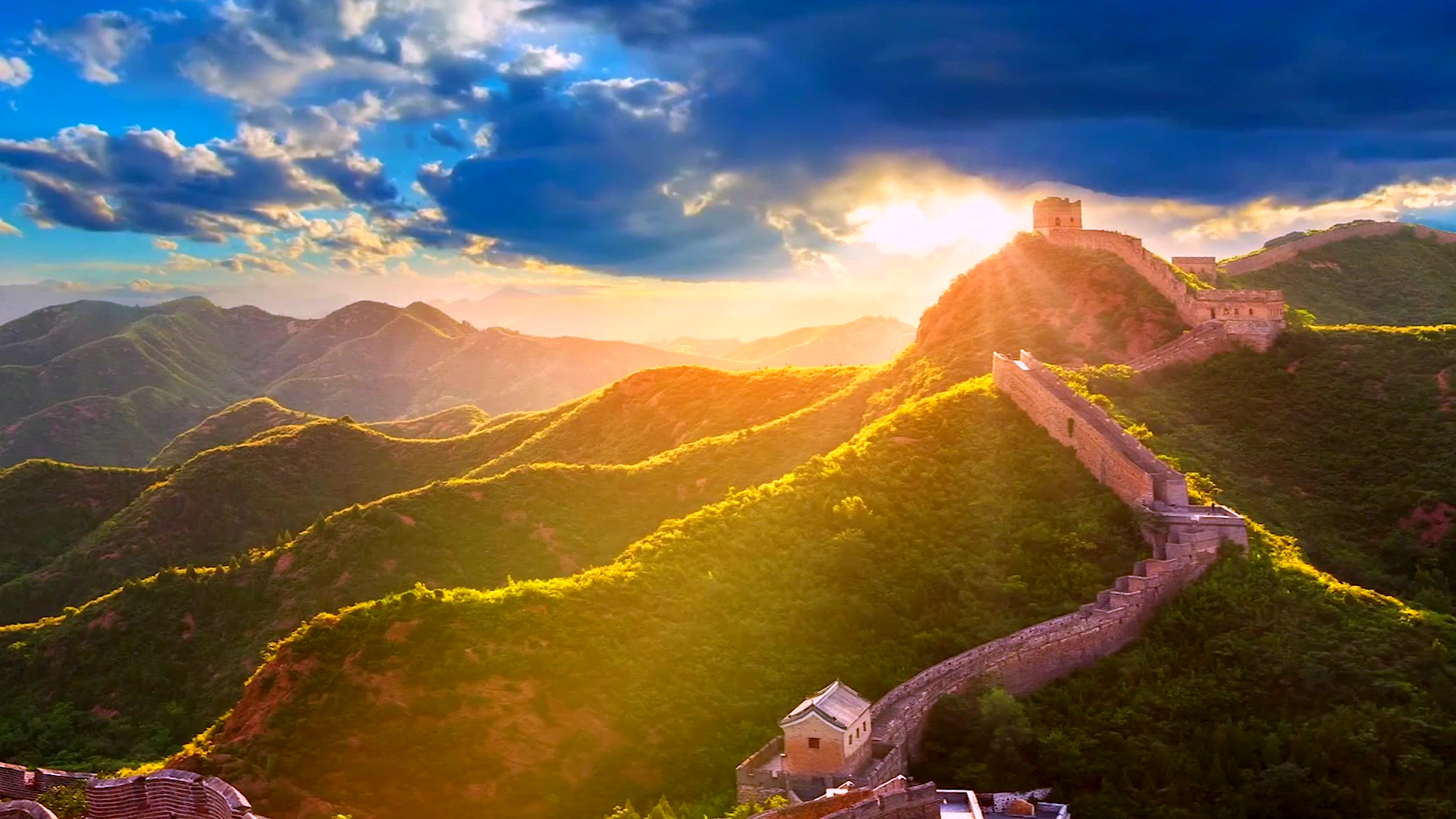 ɭ�ֲ�ԭ����������Ƭ