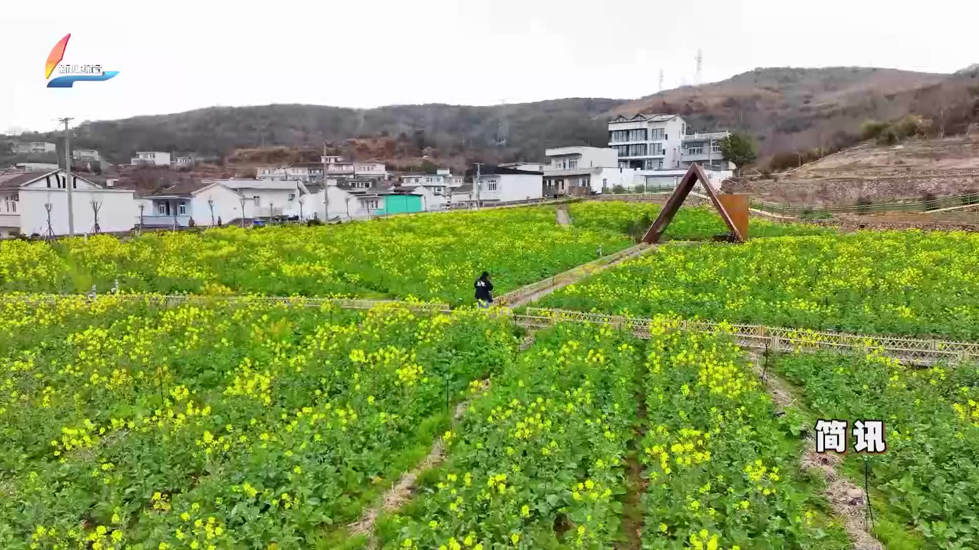 20260306��������