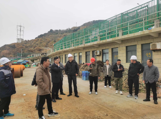 ����翪չ2026���´���Ŀ������һ���߸�����������