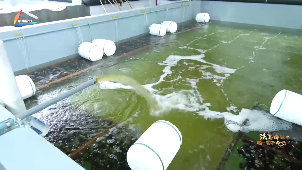 20260311��������