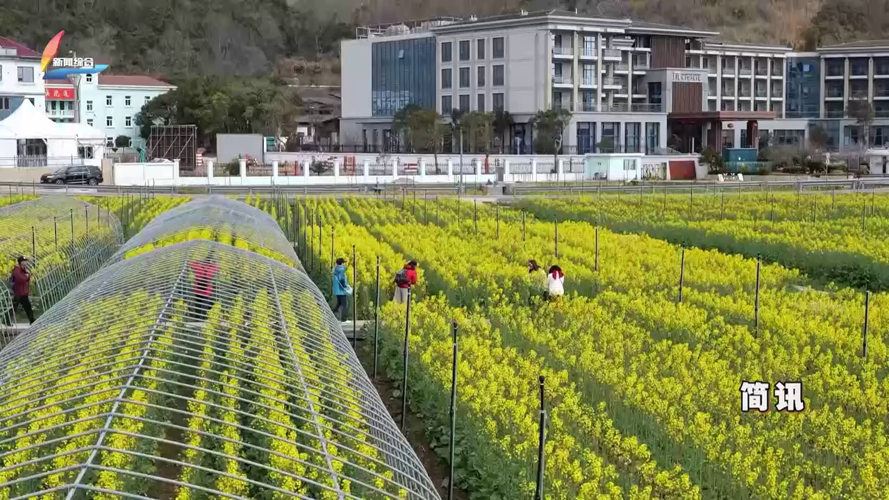 20260318��������