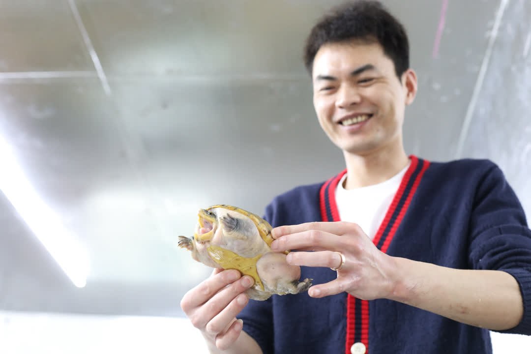 һֻ��������9000Ԫ ½�ຣ��С�ڹ��˶���Ƹ�