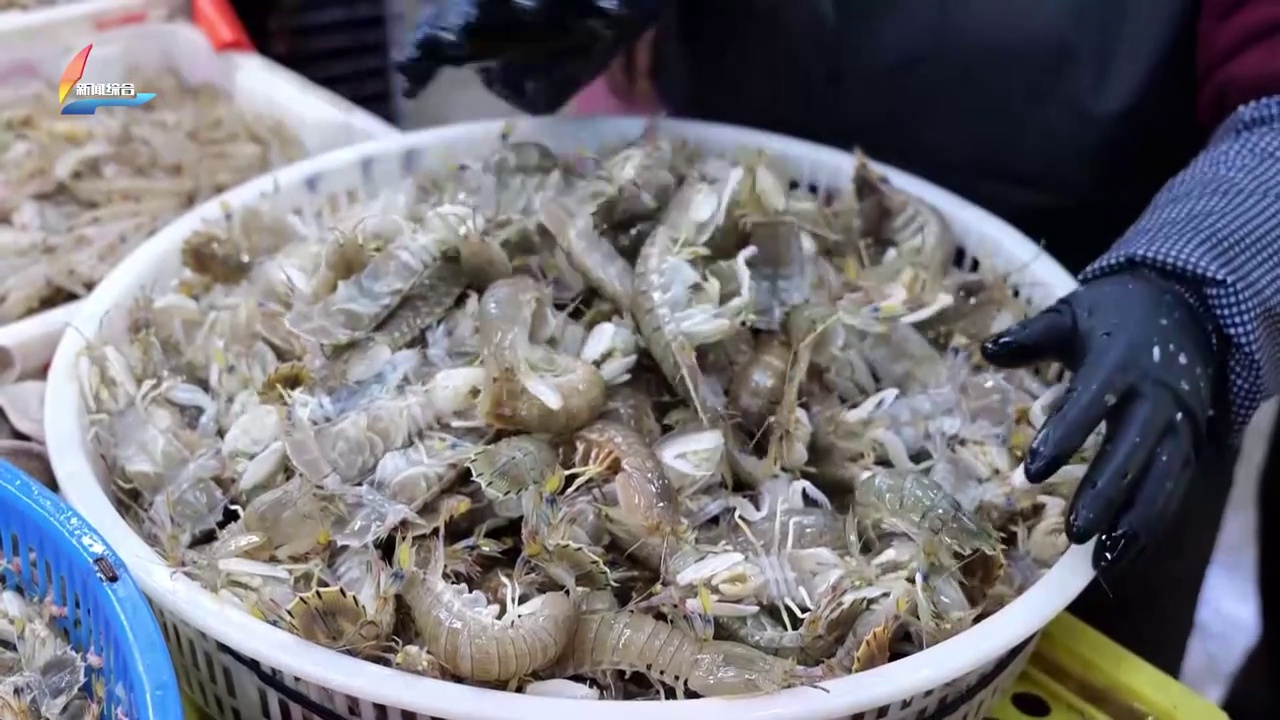 20260320��������