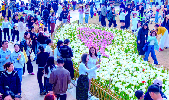 �ڽ�����������������