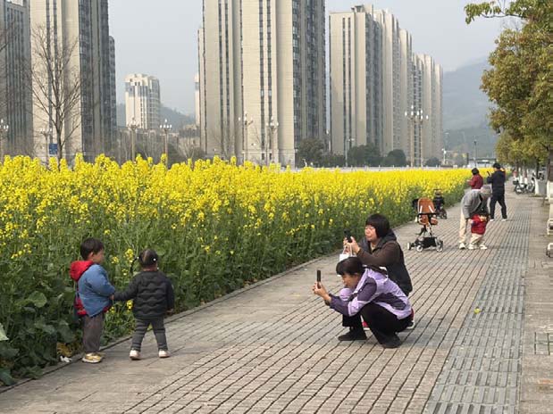 ��̩���������Ƭ���ƽ𺣡� 220Ķ�Ͳ˻���ֵʢ��