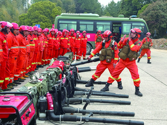 ɭ������ ʵս����