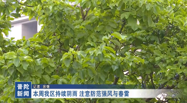 ���������������� ע�����ǿ���봺��