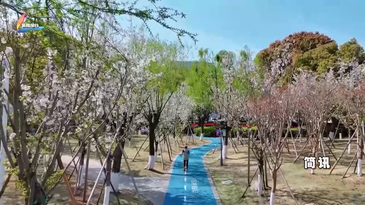 20260402��������