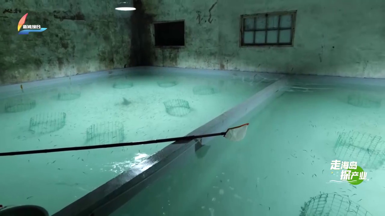 20260410��������