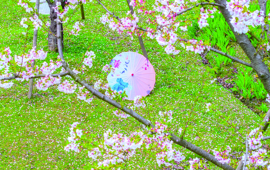 �������ϴ������ӣ����