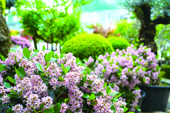 ����Ⱦ����ֻ�ľ��