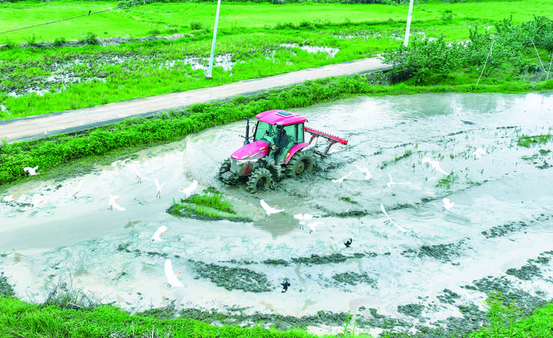 ���ذ�ũ��